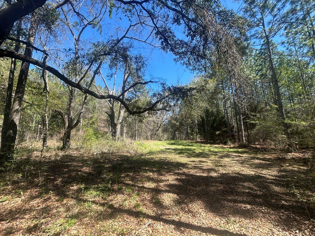 Picture 43