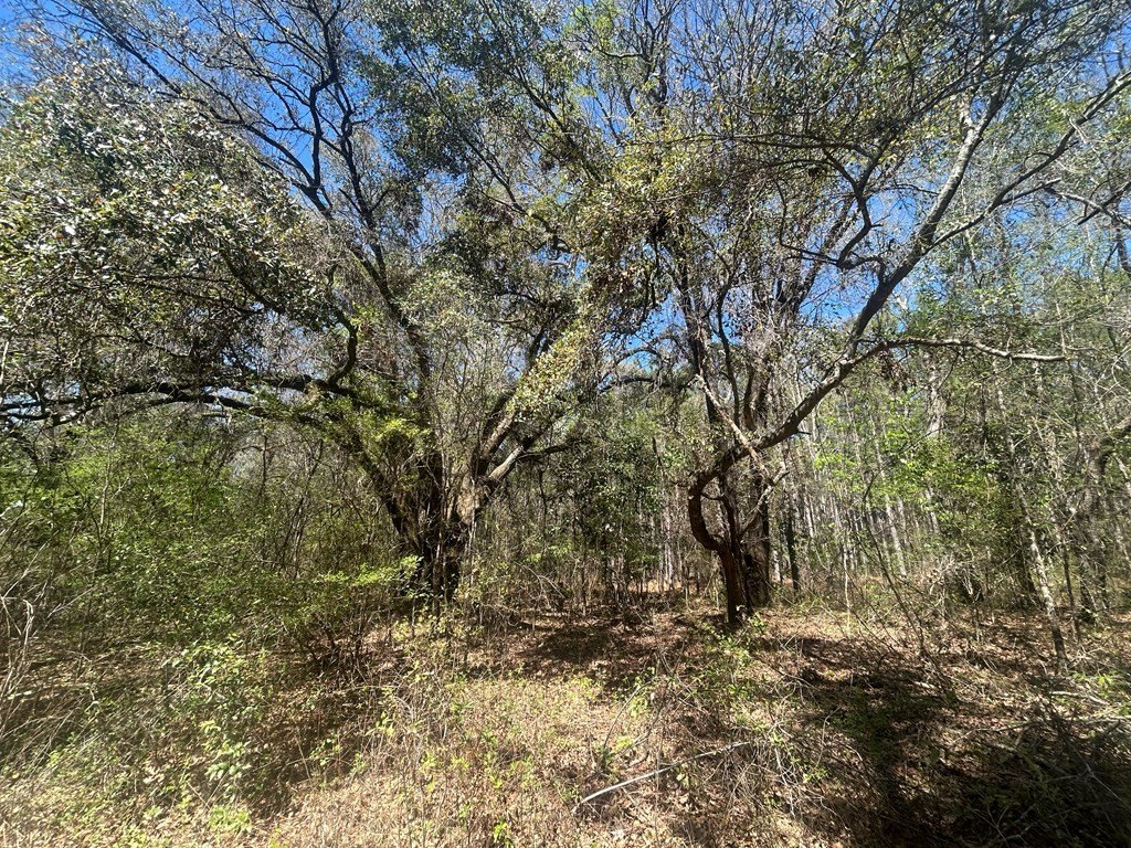 Picture 42