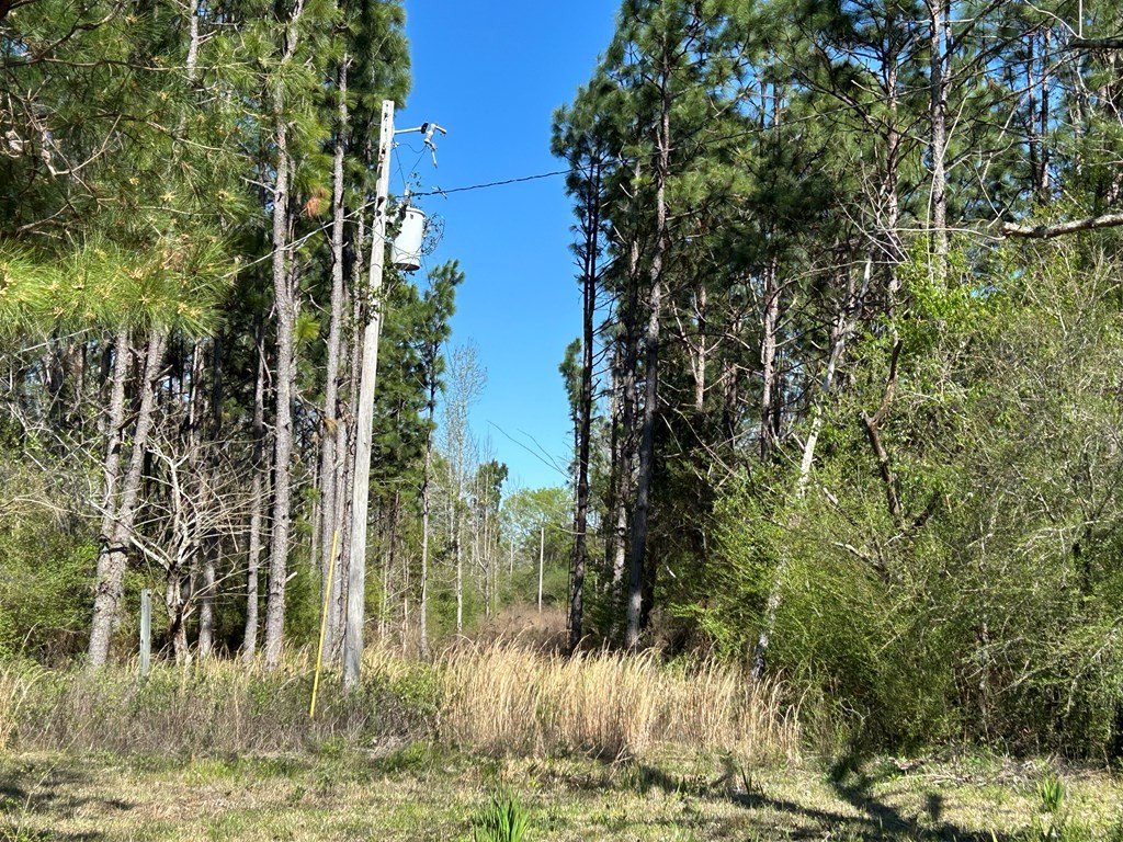 Picture 18