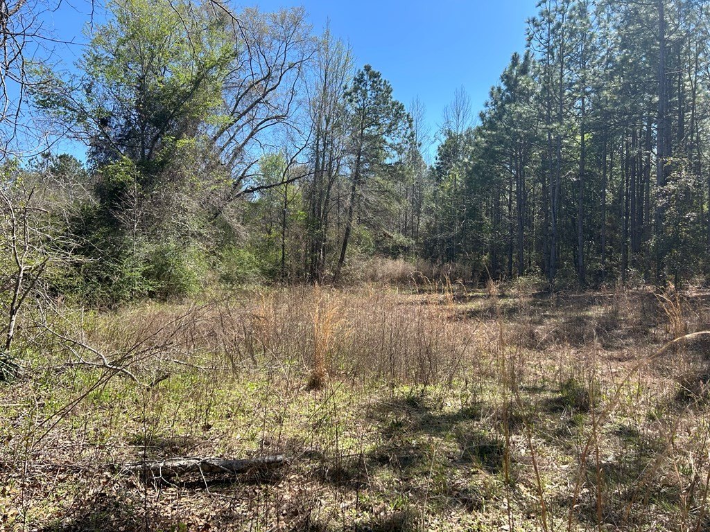 Picture 38