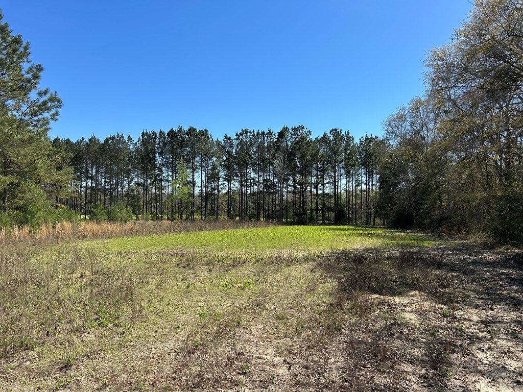 Picture 23