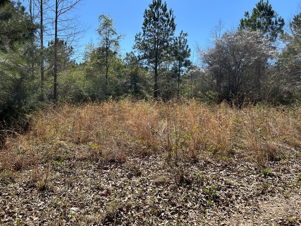 Picture 27