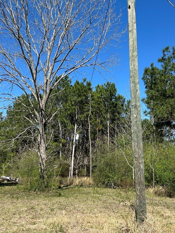 Picture 19