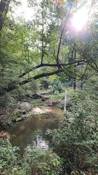 Nacogdoches Land with Diverse Terrain