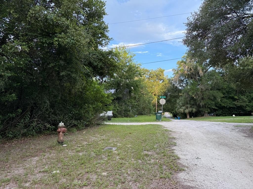 Picture 14