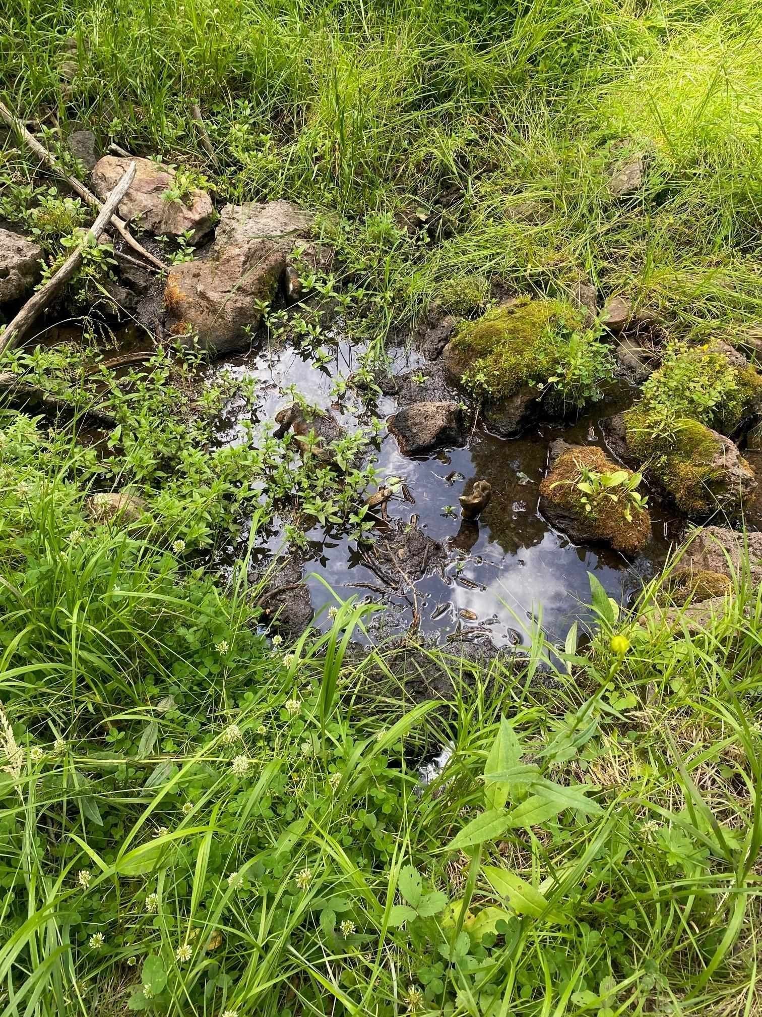 Land in Hidden Lake