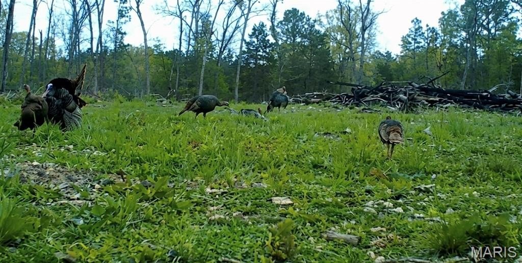 Picture 4