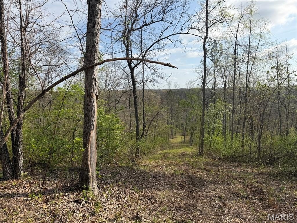 Picture 16
