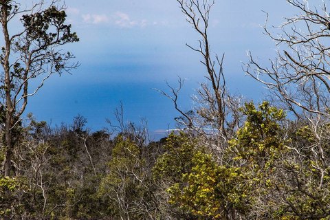 Ocean View Acreage with Plans