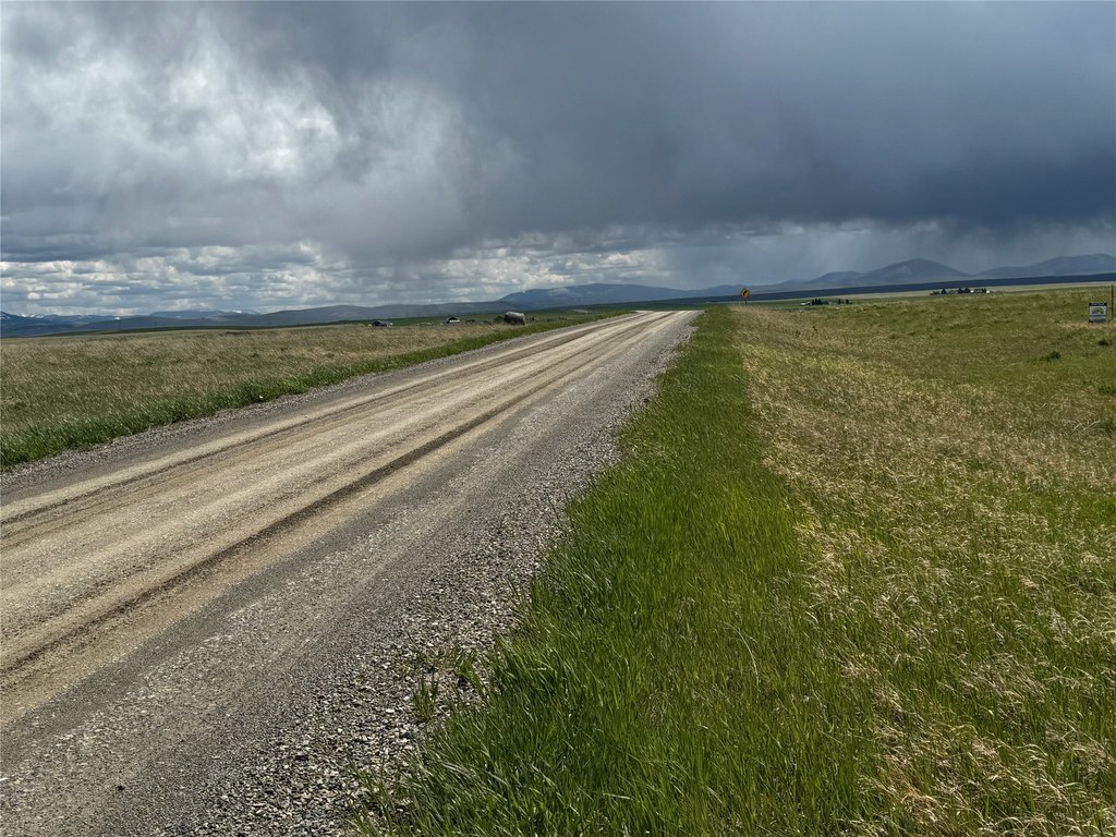 Picture 7