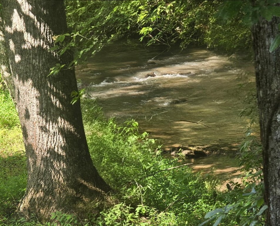 Picture 23