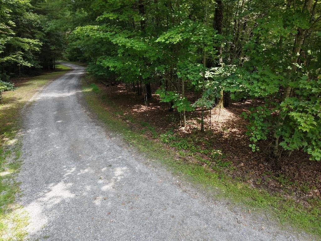 Picture 3