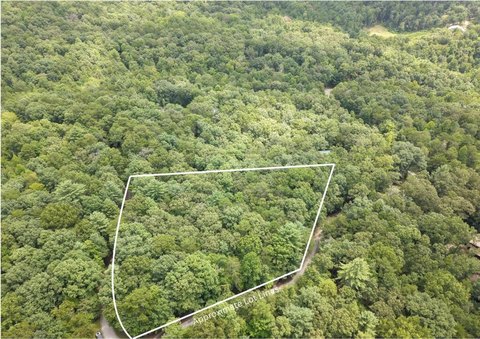 Vacant Lot, Ellijay, GA