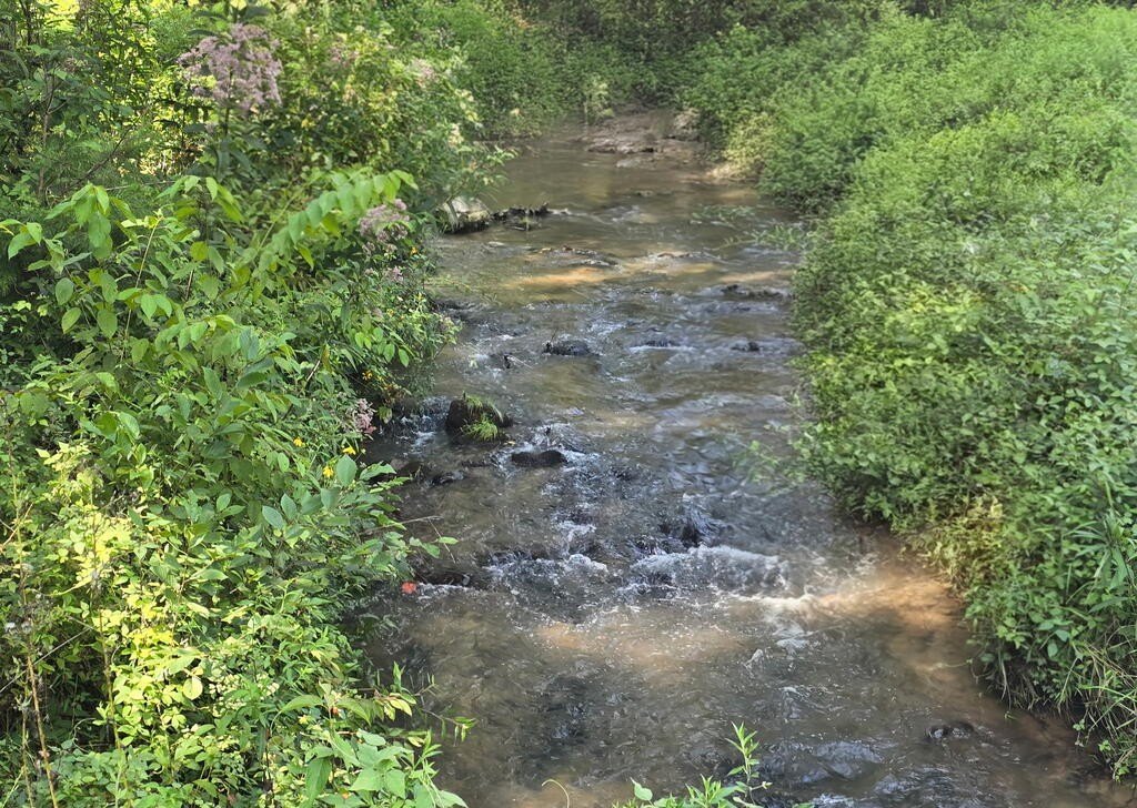 Picture 4