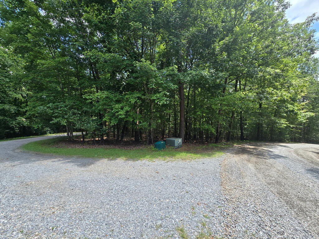 Picture 16