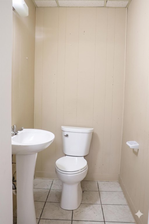 Picture 14
