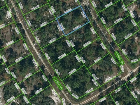 Land in Lake Placid, FL