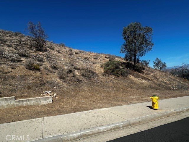 Picture 3