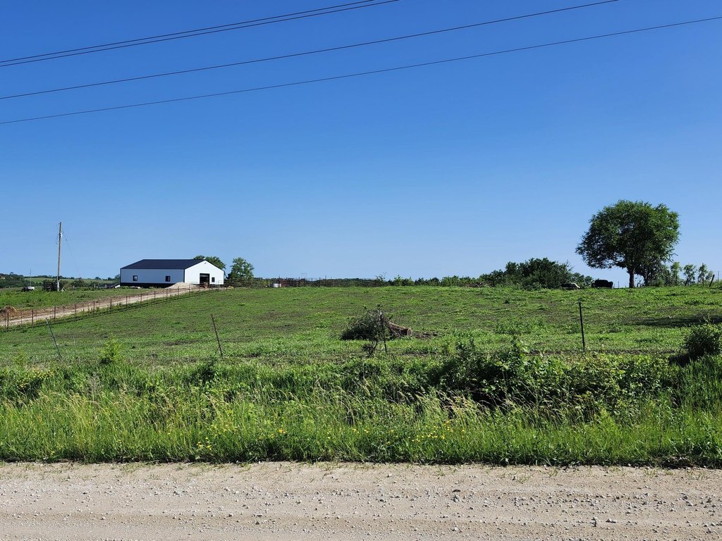 Picture 17