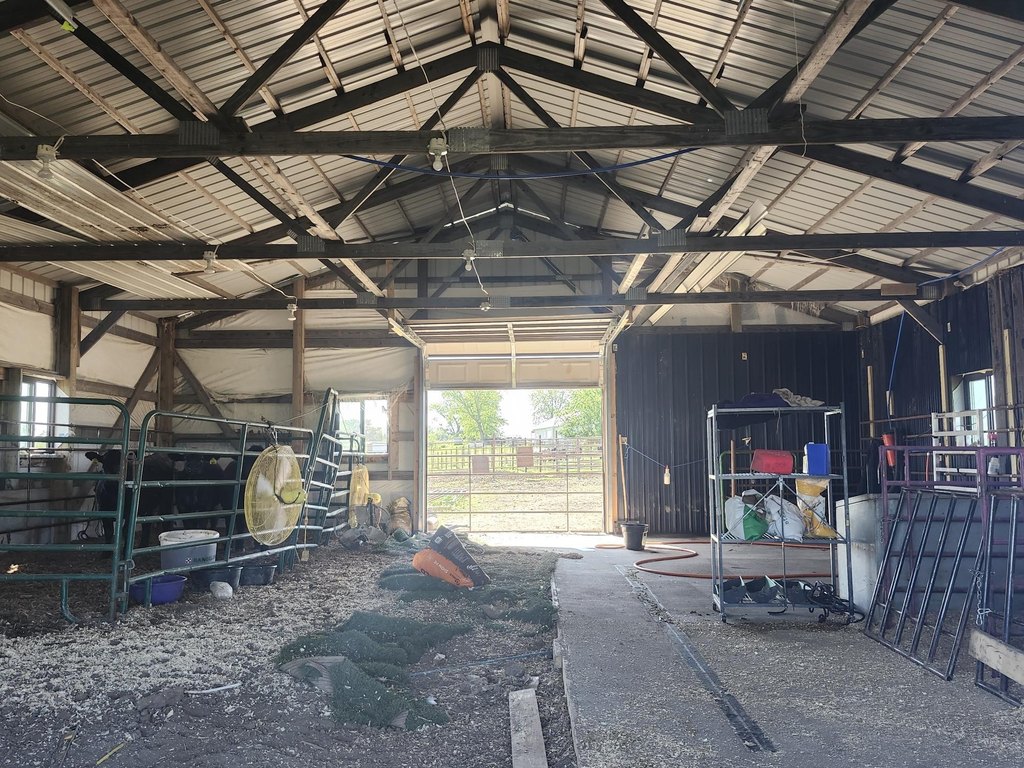 Picture 15