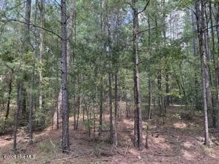 Land, McCormick, SC