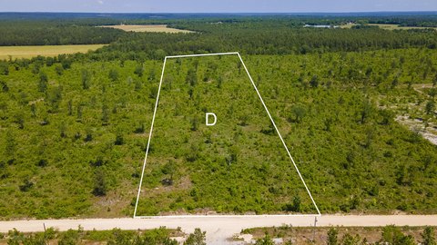 Monetta, SC Acreage Opportunity