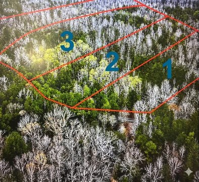 Recreational Hunting Land Tracts