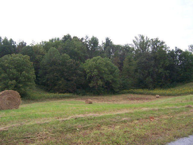 Waterfront Building Lots in Abingdon