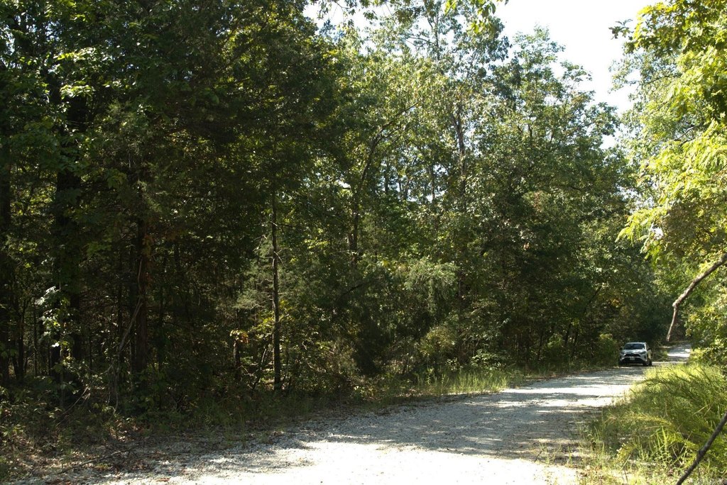 Picture 4