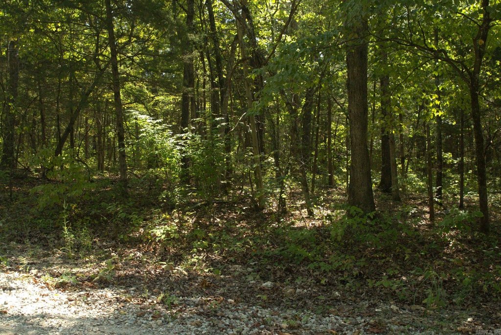 Picture 3