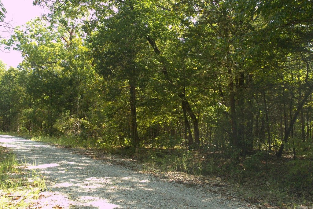 Picture 5