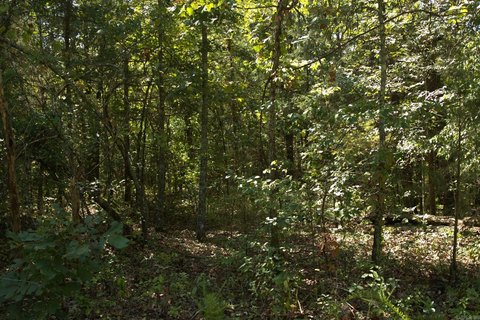 Land Near Pioneer Lake