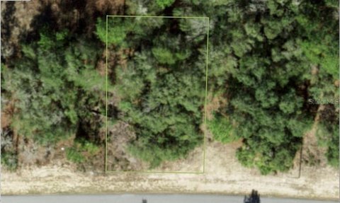 Land, CITRUS SPRINGS, FL