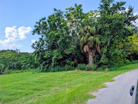 LAND - LADY LAKE, FL