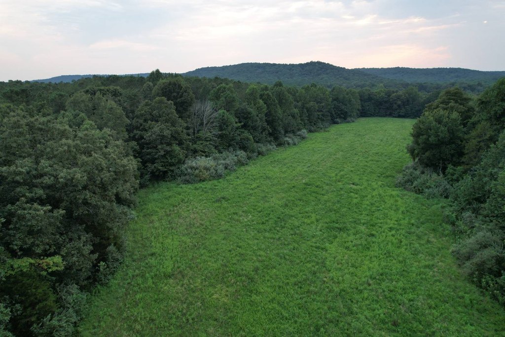Picture 3