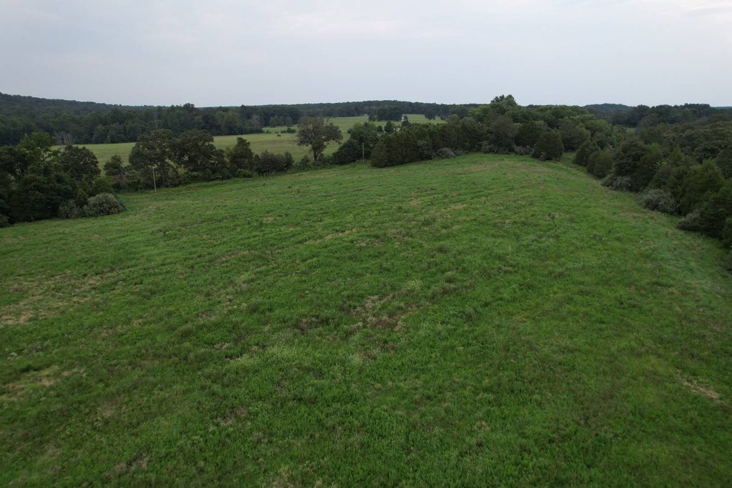 Picture 24