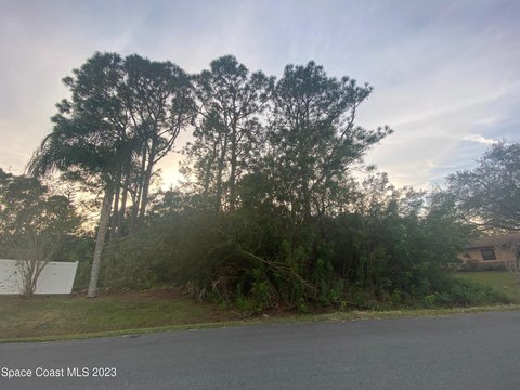 Palm Bay Corner Lot