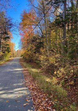 32.8 Acres with Lake Access