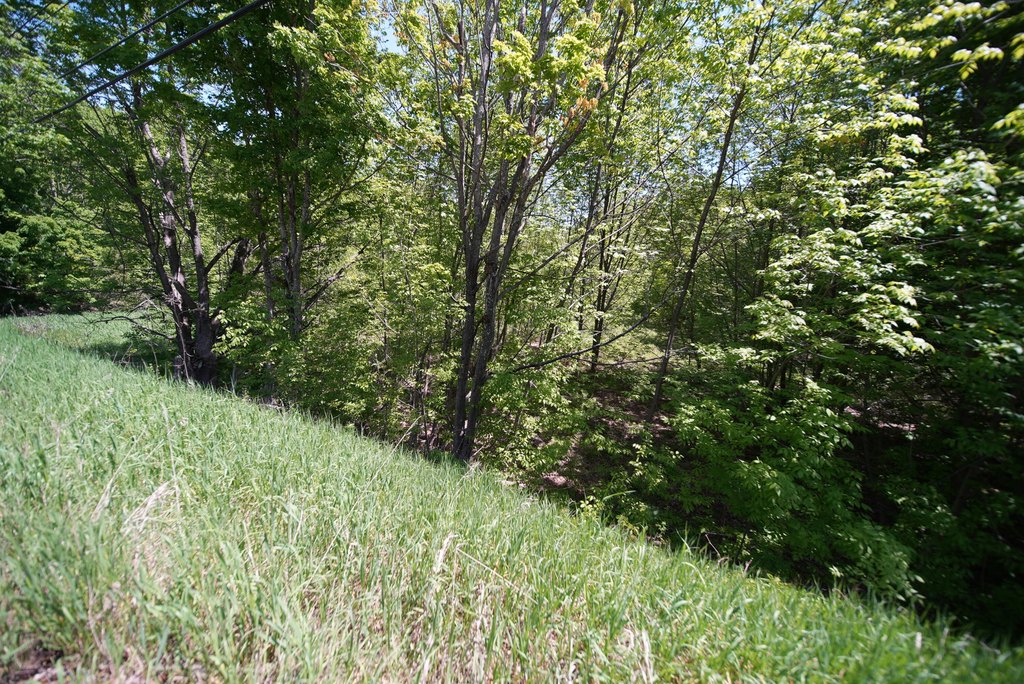 Picture 11