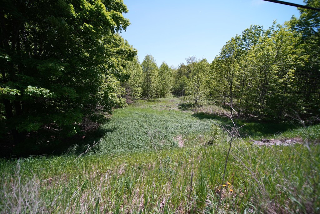 Picture 12