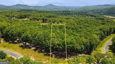 North Georgia Mountain View Lot
