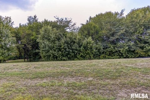 Residential Lot in Chatham, IL