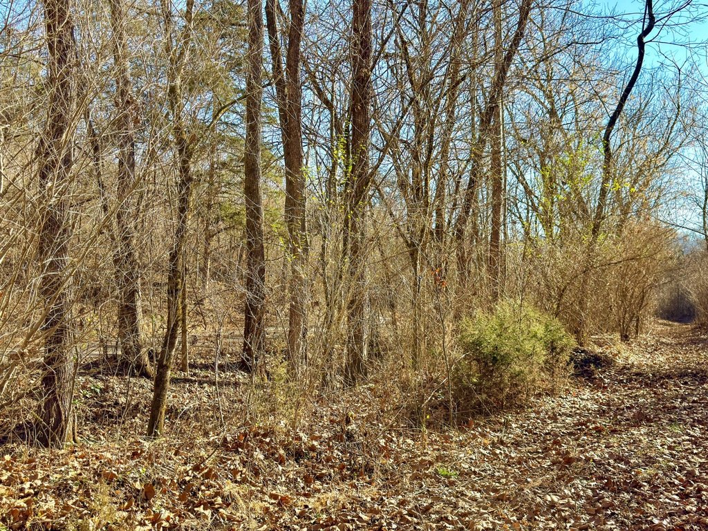 Picture 3