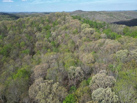 LAND - Procious, WV