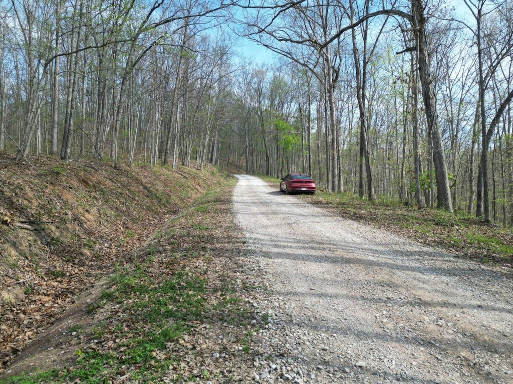 Picture 5