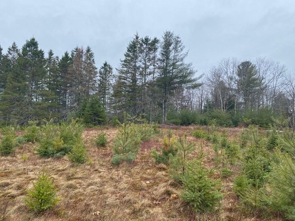 Residential Land in Holden, Maine