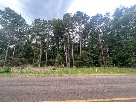 San Augustine Land with Timber