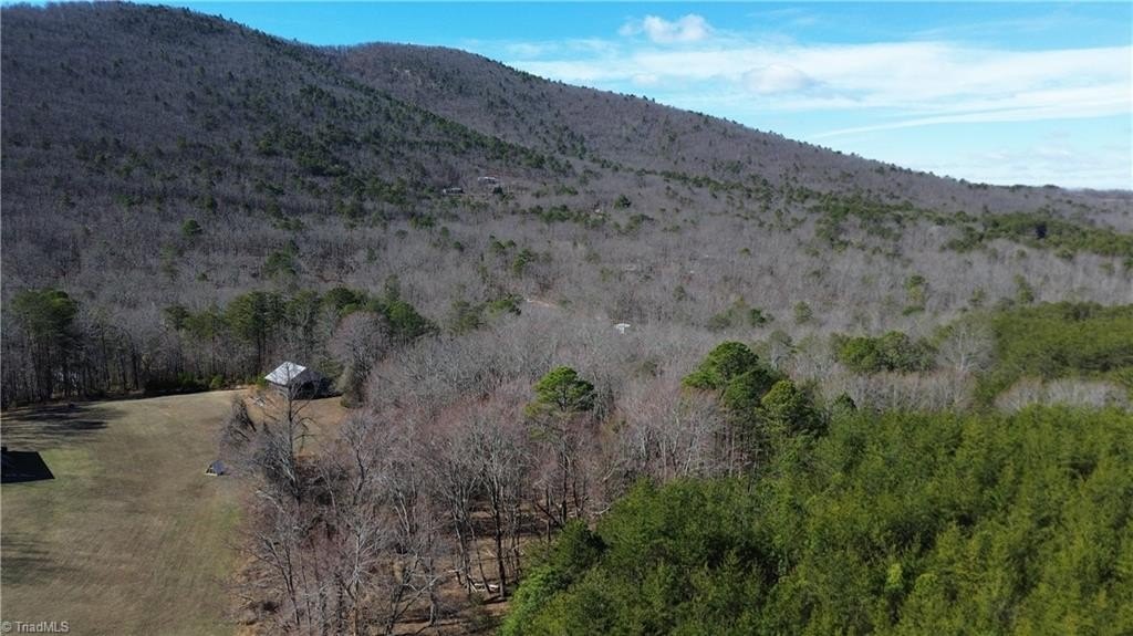 Wooded Tract Near Hanging Rock