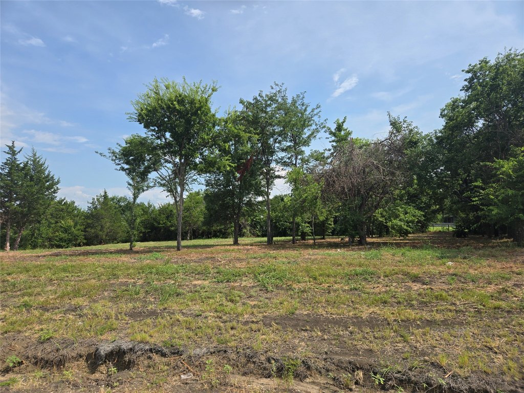 Picture 4