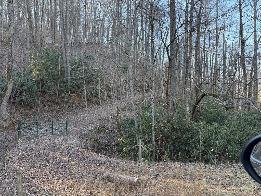 Picture 4